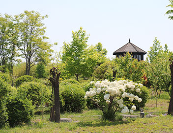 公司展示