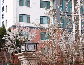 公司展示